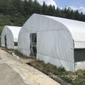 Hot sale low cost high quality mushroom greenhouse